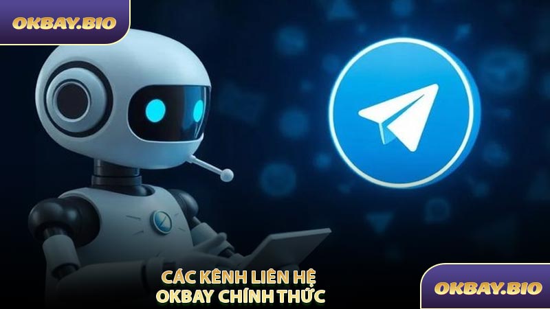 Các Kênh Liên Hệ OKBAY Chính Thức